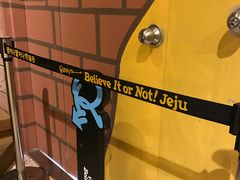 -信不信由你博物馆