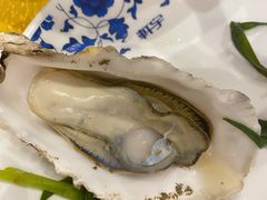-陈记高压锅鱼头·生蚝