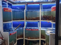 -指爱龙虾(金杨路总店)
