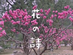 -香山公园