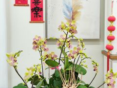 -弗劳尔花艺坊(龙涛店)
