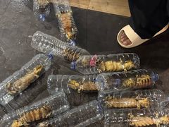 -海盗餐厅