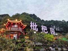 -枇杷园食为鲜火锅(南山店)