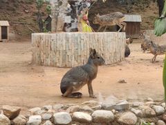 -泉州海丝野生动物世界