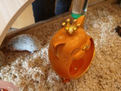 -珠海海泉湾神秘岛亲子乐园