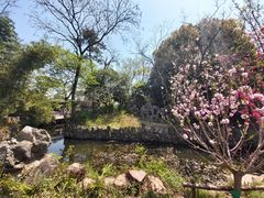 -无锡蠡湖国家湿地公园-蠡园