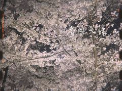 -堤角公园