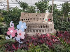 -南宫五洲植物乐园