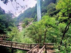 -碧峰峡风景区