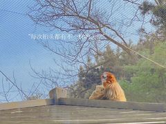 -大连森林动物园