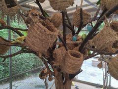 -珠海海泉湾神秘岛亲子乐园