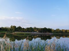 -永定河休闲森林公园