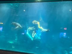 -福州罗源湾海洋世界旅游区