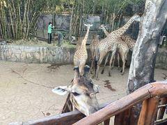 -长鹿旅游休博园