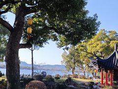-杭州西湖柳莺里酒店