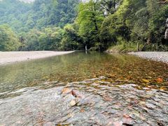 -龙苍沟森林公园