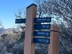 -北京鹫峰国家森林公园