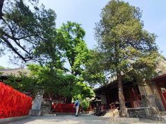 -红螺寺