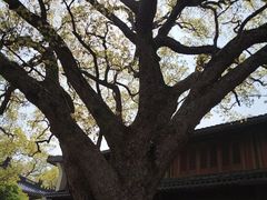 -普陀山风景名胜区-法雨禅寺