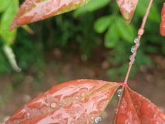 -南京市江宁方山