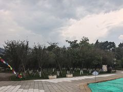 -云南民族村