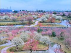 -上海海湾国家森林公园