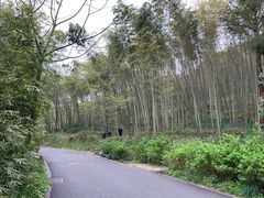 -法云安缦酒店