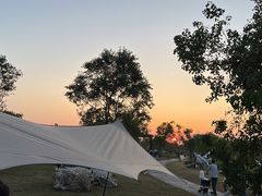 -春花秋色城市公园