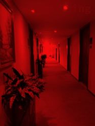 -Yestar杭州艺星医疗美容医院