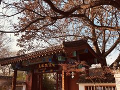 -百脉泉景区
