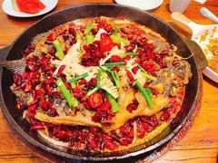 -老板恋上鱼(印象城店)