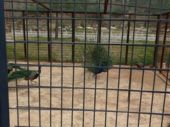 -山西乌金山旅游区