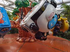 -南宫五洲植物乐园