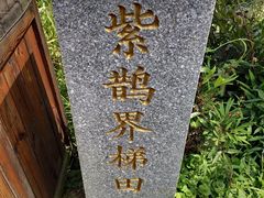 -紫鹊界梯田景区