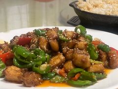 -煲来饱去冷水鱼
