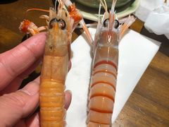 鳌虾刺身-和彩放题餐厅(酒仙桥店)