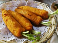 -丁老爷子苏香圆