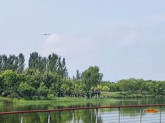 -东郊湿地公园