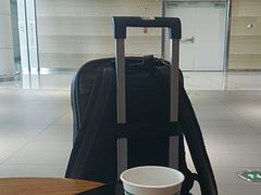 -青岛胶东国际机场