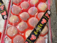 -雾与山茶(大禹城店)