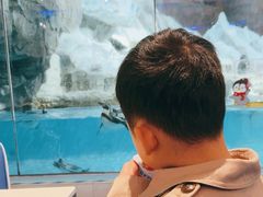 -帝企鹅自助餐厅•儿童岛•真企鹅(长隆企鹅酒店)