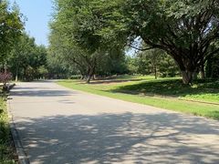 -永定河休闲森林公园