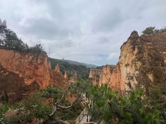-彩色沙林风景区