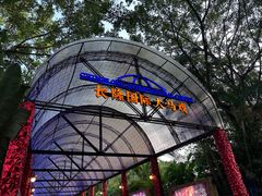 -广州长隆国际大马戏