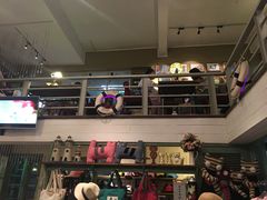 -猫咪博物馆(顶澳仔猫街店)