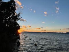 -北海金海湾红树林生态旅游区