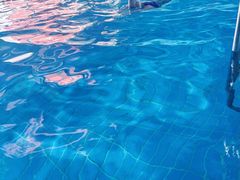 -报业大厦游泳馆