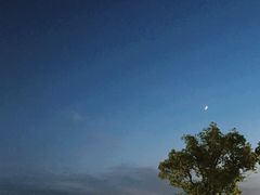 -碧海金沙