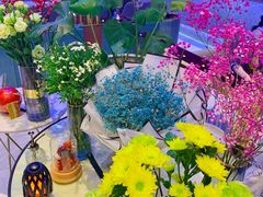 -木棉花开(中心城店)
