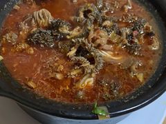 砂锅羊肚-砂锅店